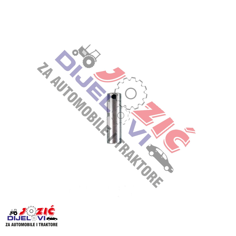 Daisy on the Ohoopee